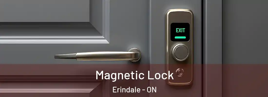  Magnetic Lock Erindale - ON