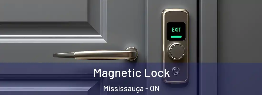  Magnetic Lock Mississauga - ON
