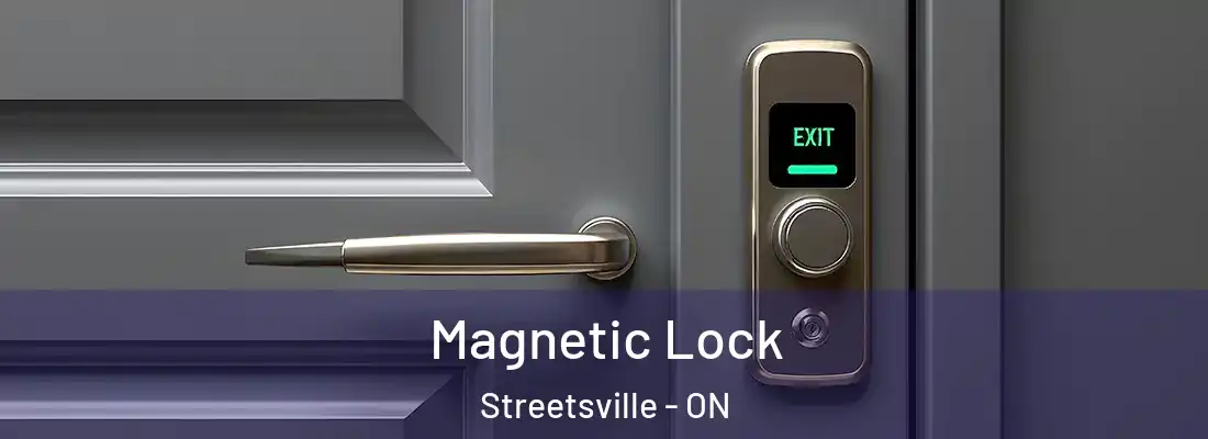  Magnetic Lock Streetsville - ON