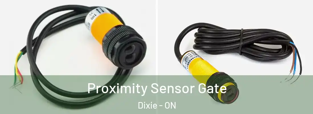  Proximity Sensor Gate Dixie - ON