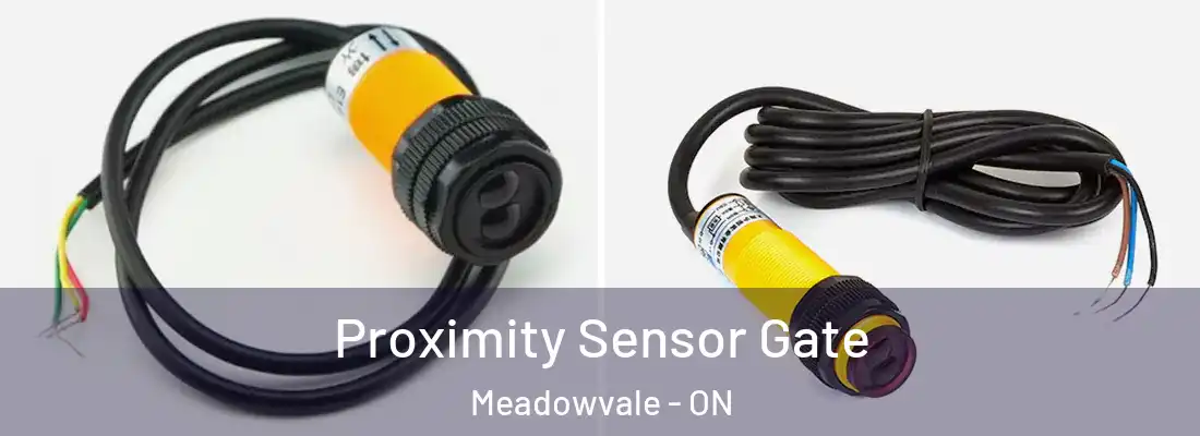  Proximity Sensor Gate Meadowvale - ON