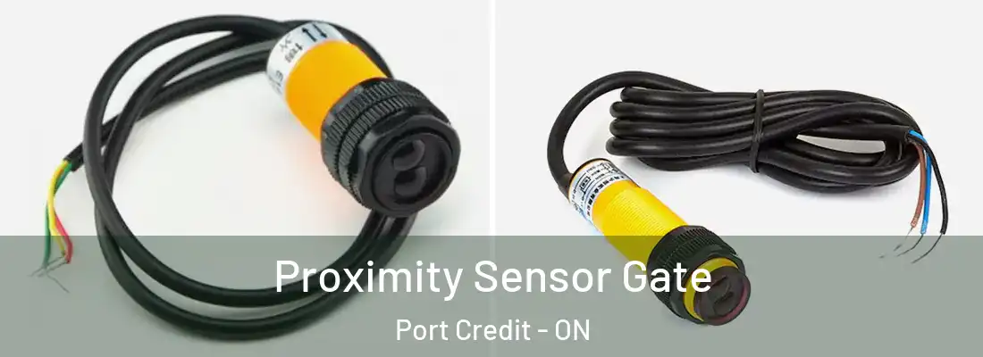  Proximity Sensor Gate Port Credit - ON