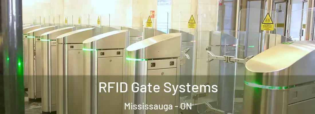  RFID Gate Systems Mississauga - ON
