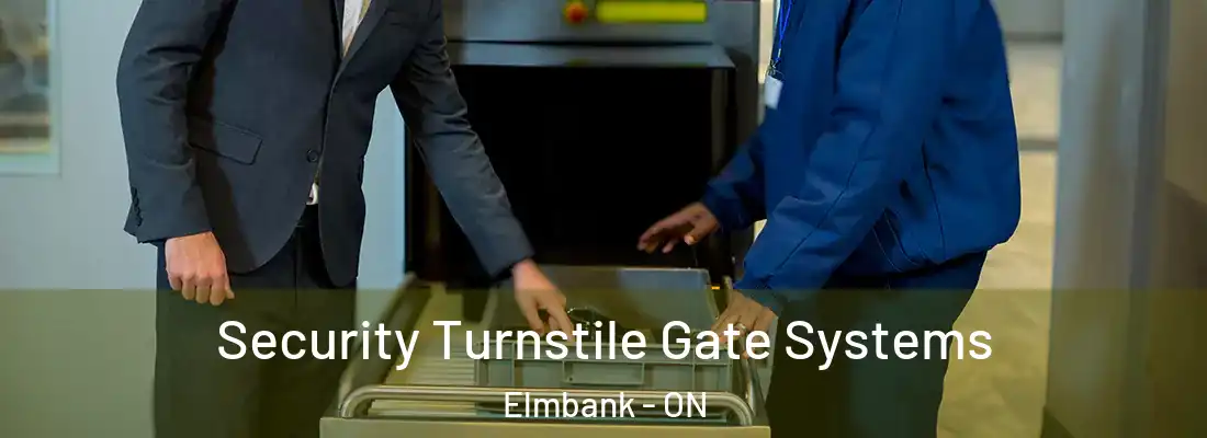  Security Turnstile Gate Systems Elmbank - ON