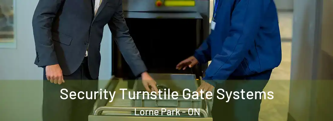  Security Turnstile Gate Systems Lorne Park - ON