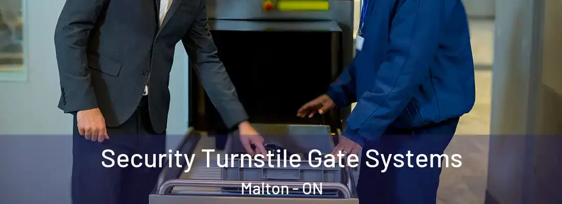  Security Turnstile Gate Systems Malton - ON