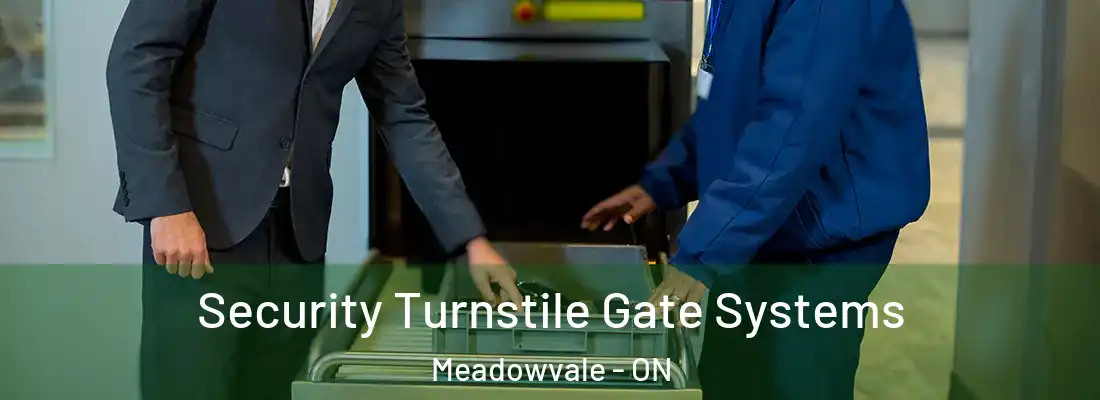  Security Turnstile Gate Systems Meadowvale - ON