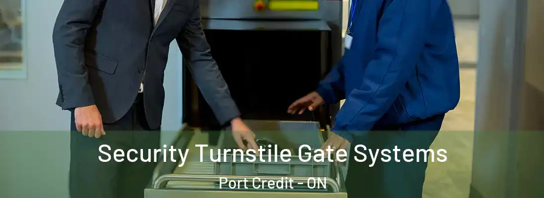  Security Turnstile Gate Systems Port Credit - ON