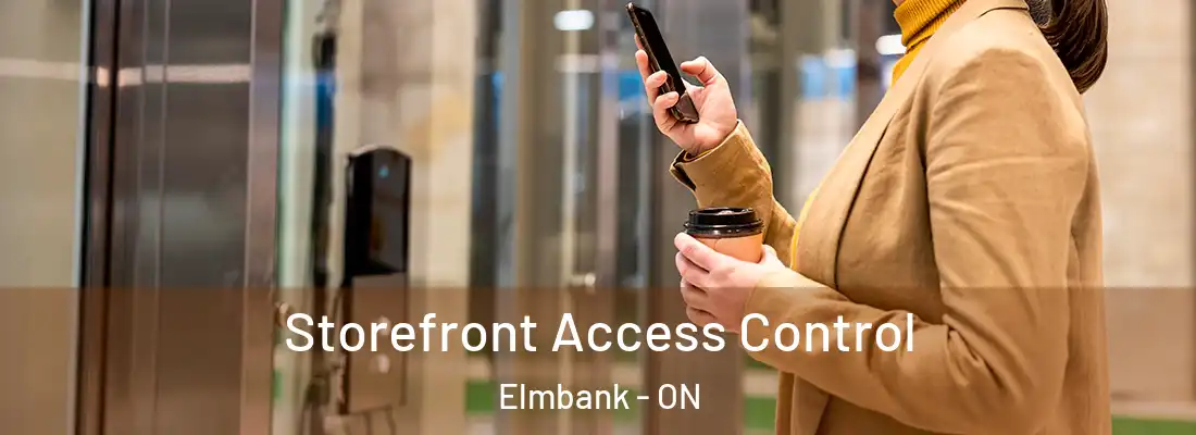  Storefront Access Control Elmbank - ON