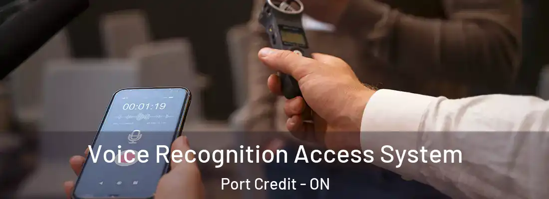  Voice Recognition Access System Port Credit - ON